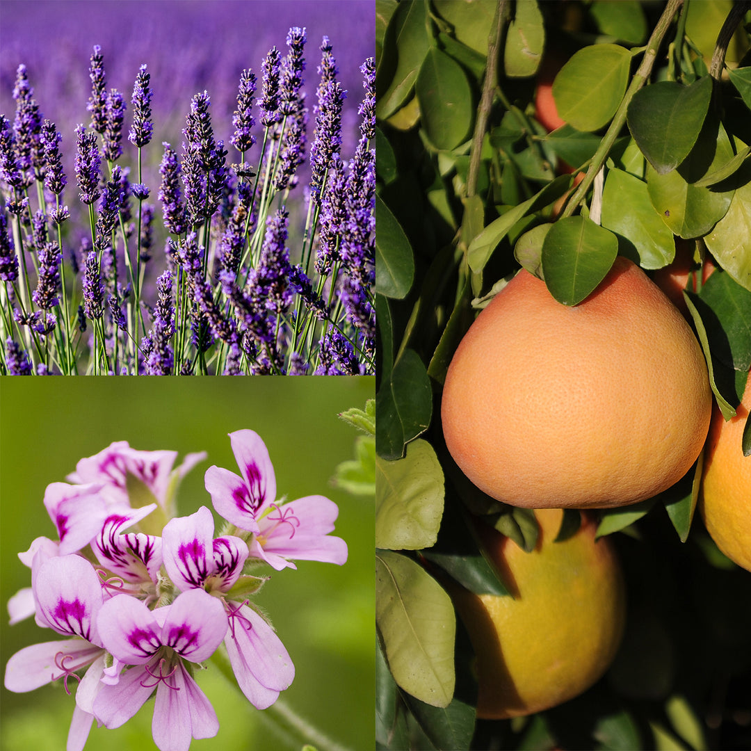 Sunny Day Lotion Bar - Seattle Sundries - Solid Lotion 