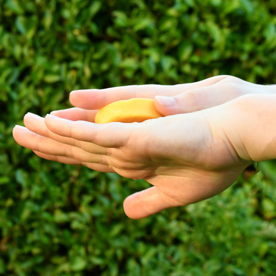 Fresh Flower Lotion Bar - Seattle Sundries - Solid Lotion 